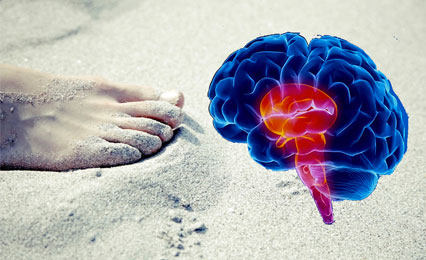 What Toenails Tell Us About The Brain!