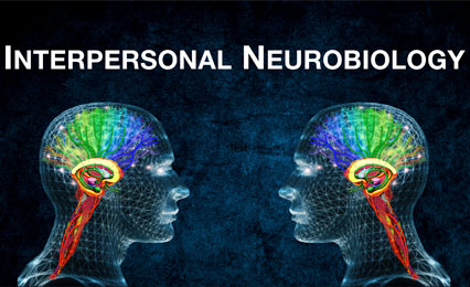 Interpersonal Neurobiology – The Key to Being Heard & Understood