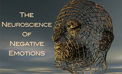 The Neuroscience of Negative Emotions