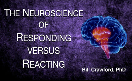 The Neuroscience of Responding Vs. Reacting